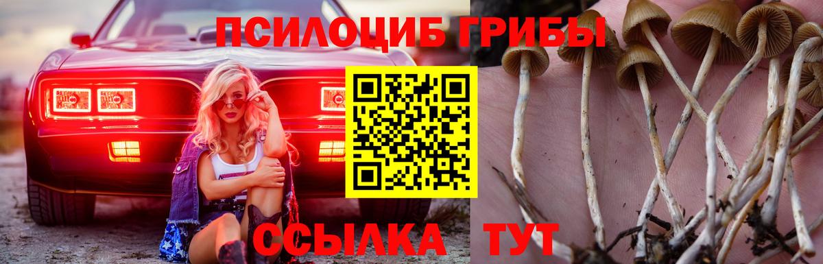 Галлюциногенные грибы Psilocybe  Галлюциногенные грибы Psilocybine cubensis  купить наркоту  Вход с VPN  Волгодонск 